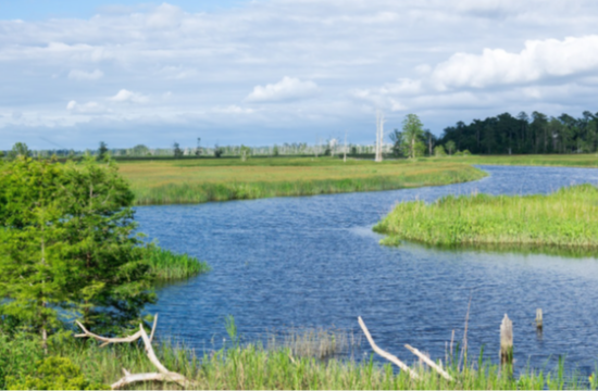 Resilient Coastal Communities Program