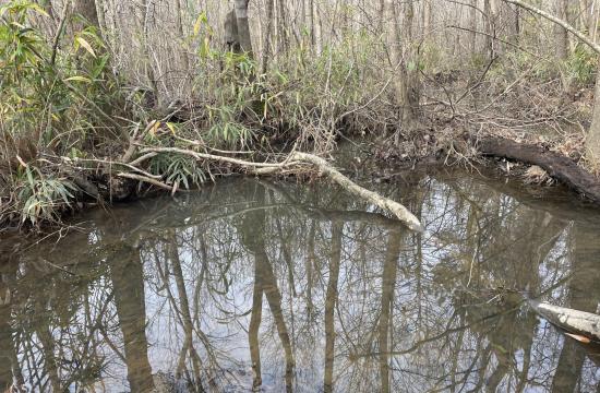 Jackeys Creek