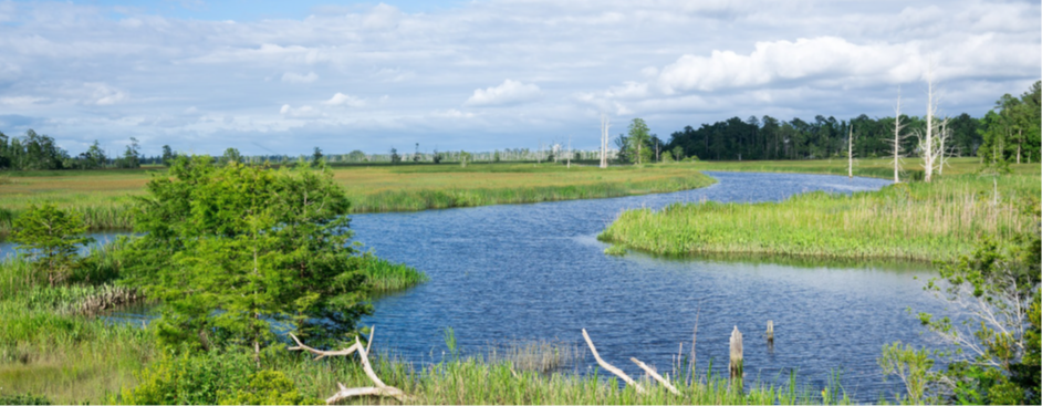 Resilient Coastal Communities 