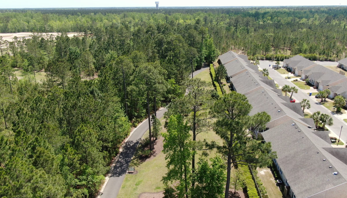 Tree Canopy Cover Assessment Completed