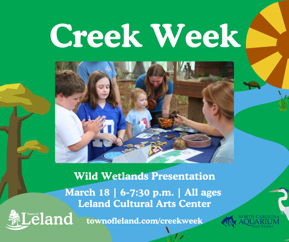 Creek Week Wild Wetlands